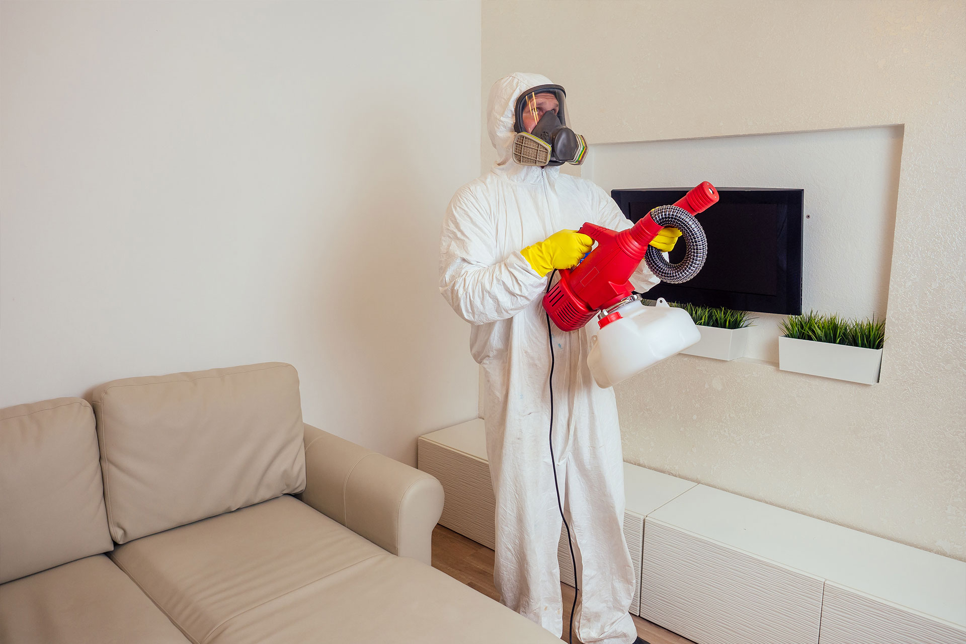 6 Tips to Keep Your Home Safe from Pests During Storms