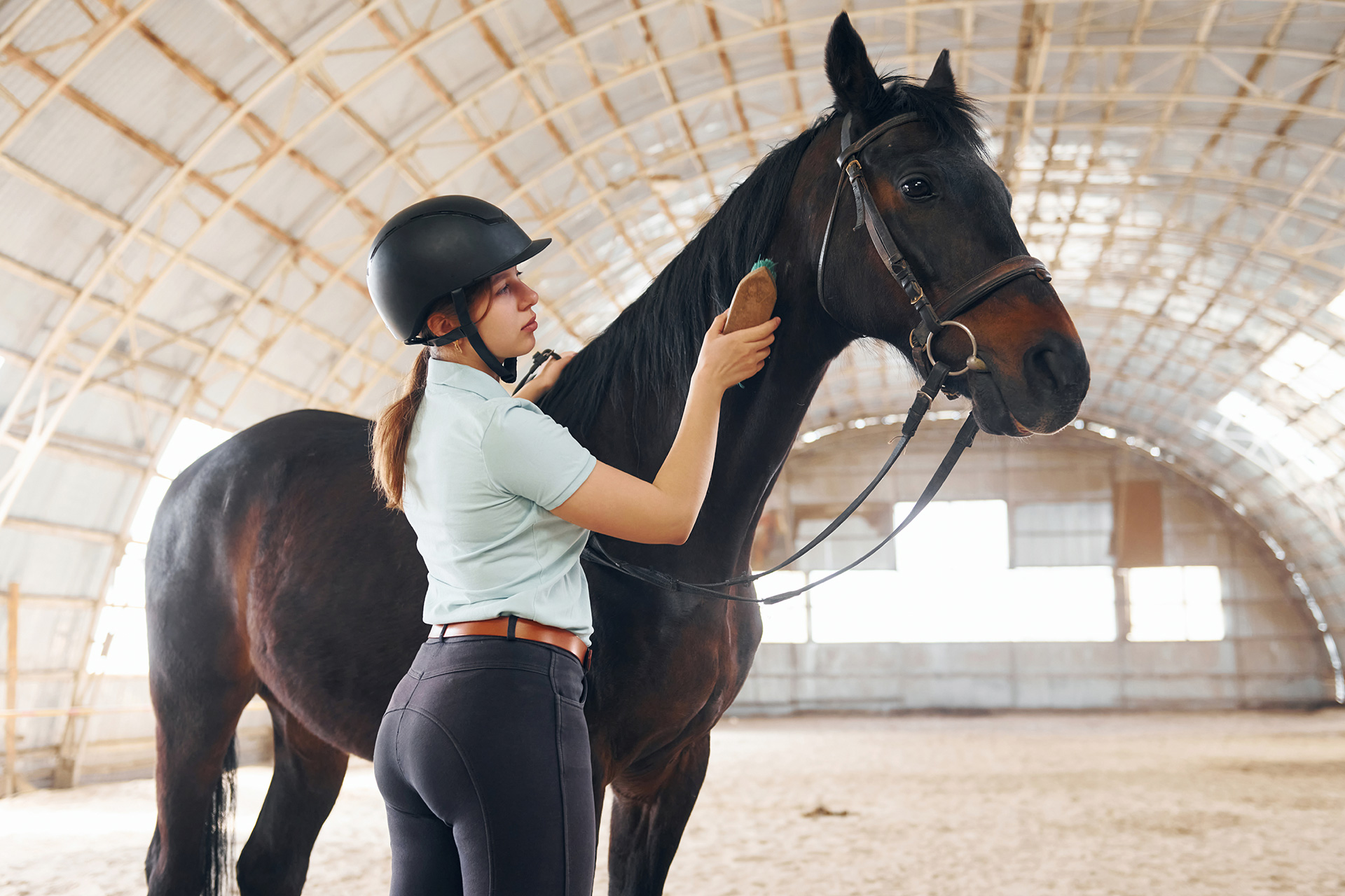 How To Build Your Horse A Fitness Plan